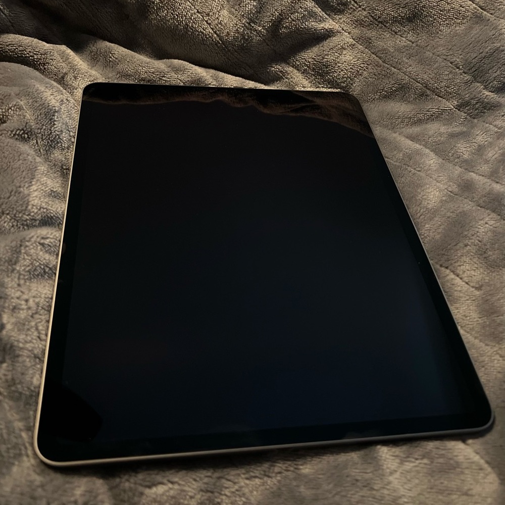 iPad Pro 12.9 inch 256 GB